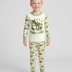 Dinosaur Birthday Boy Bamboo Two Piece Long Sleeve Pajama Set