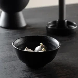 Schalen Black Swan - 2er-Set aus schwarzem Porzellan